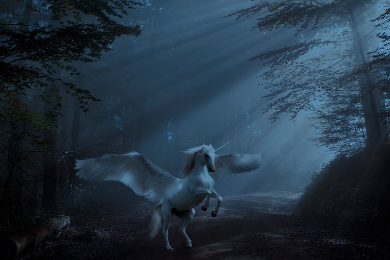 Unicorn Backdrops